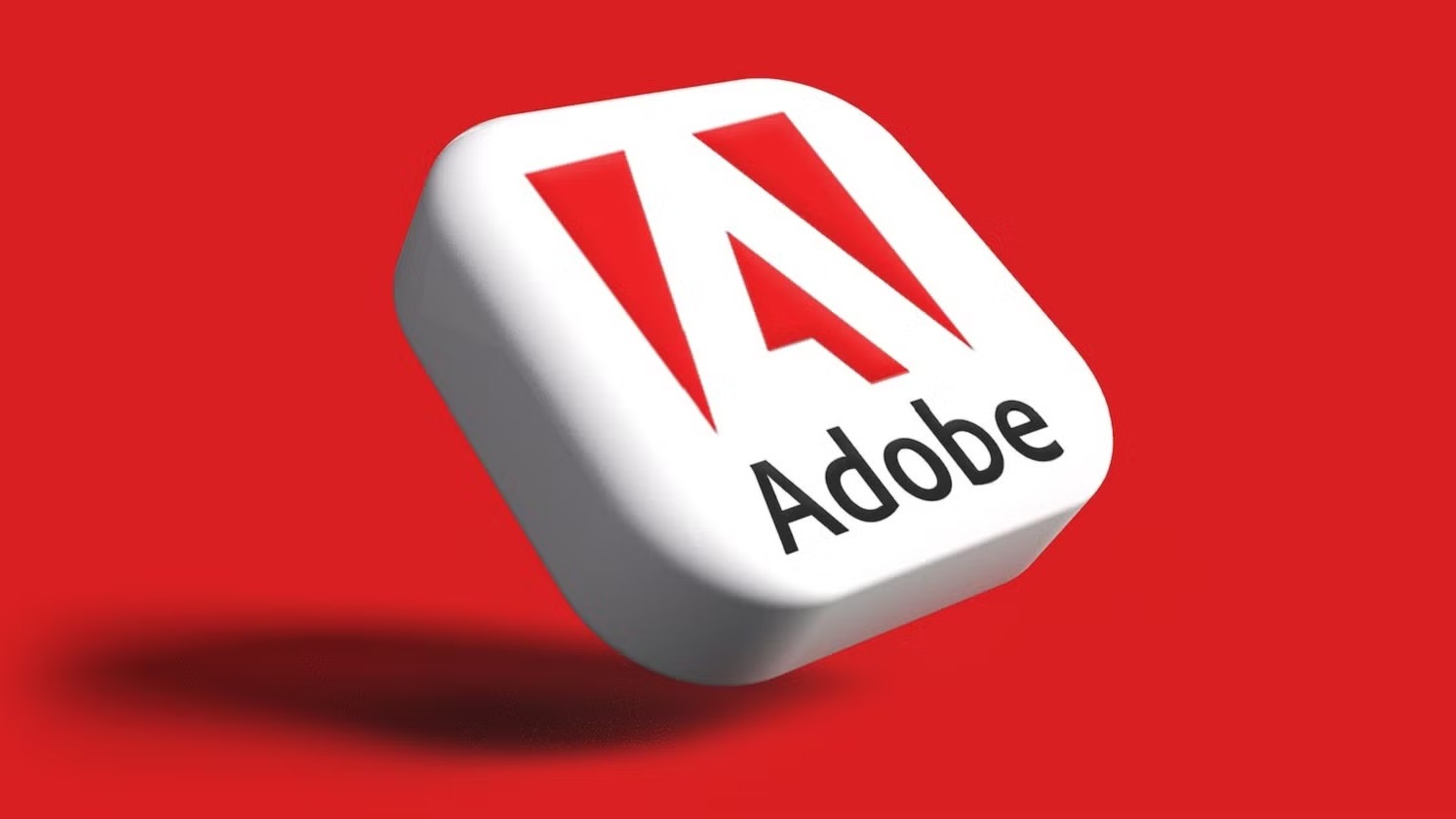 Main Banner Image 4